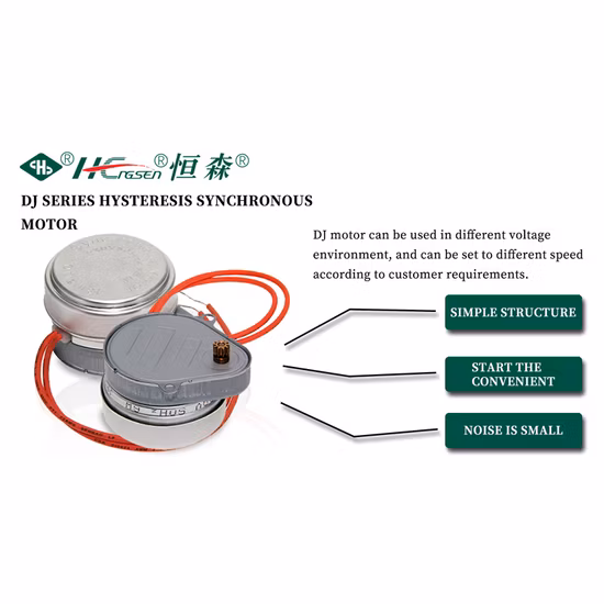 Moteur de vanne de zone motorisé synchrone à hystérésis 24 V CA