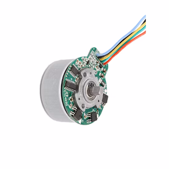 Kinmore petit 12 V 24 V Massage Ie1 moteur de Vibration Micro Mini 12 volts électrique excentrique vibrant moteur à courant continu pour gode jouet Sexy